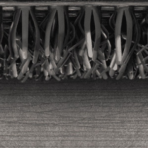 image of AstroTurf 6000 texturizer