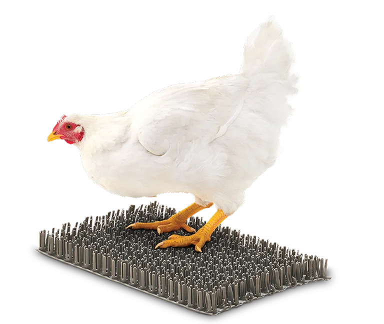 ChickenPad 1
