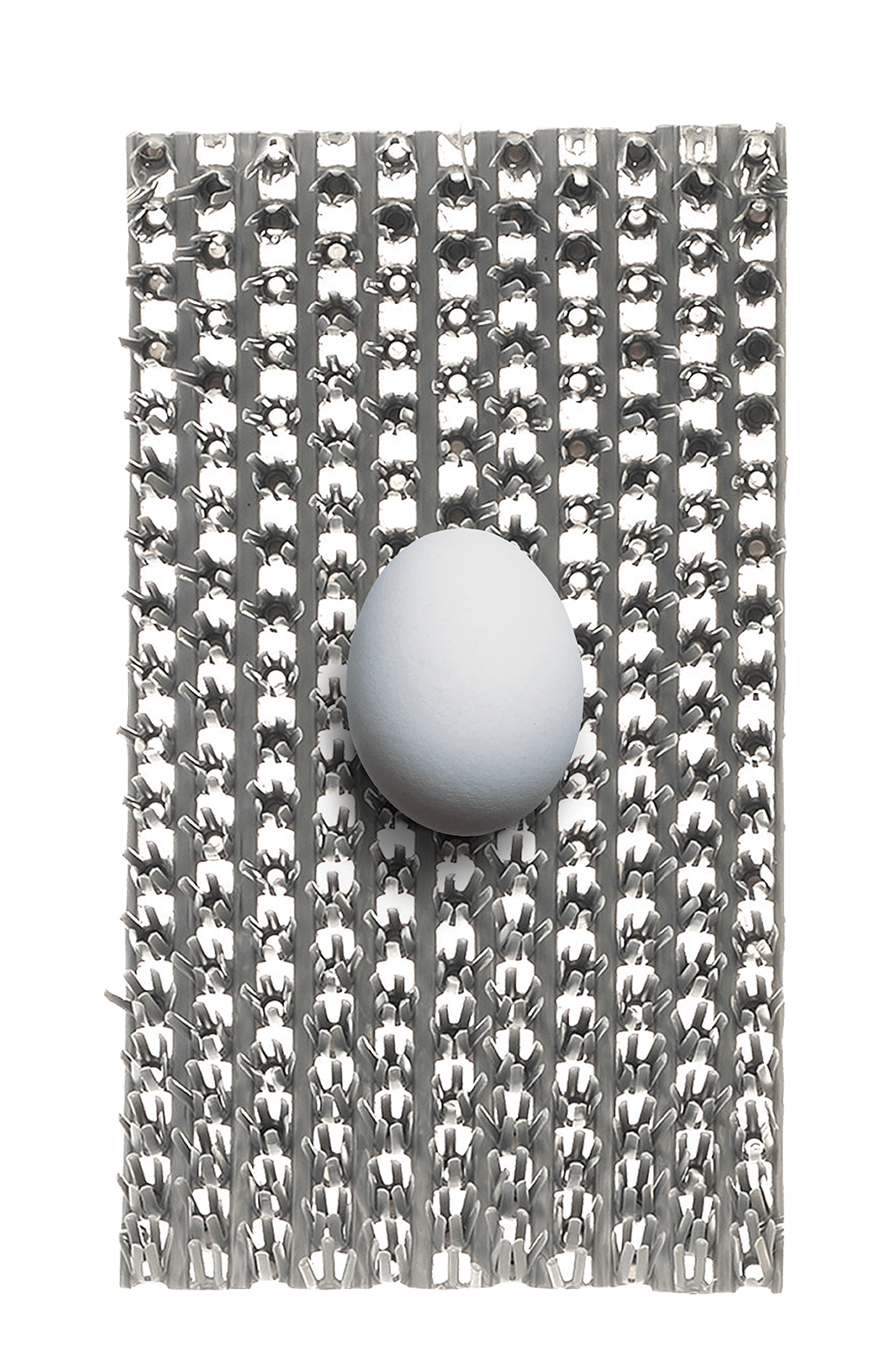 EggPad
